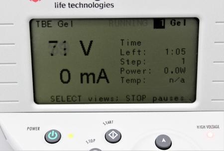 Invitrogen PowerEase 500 Power Supply for Electrophoresis Equipment G 100-120V