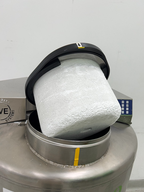 Chart Industries MVE Heco 819P-190AF-GB LN2 Cryogenic Freezer Storage