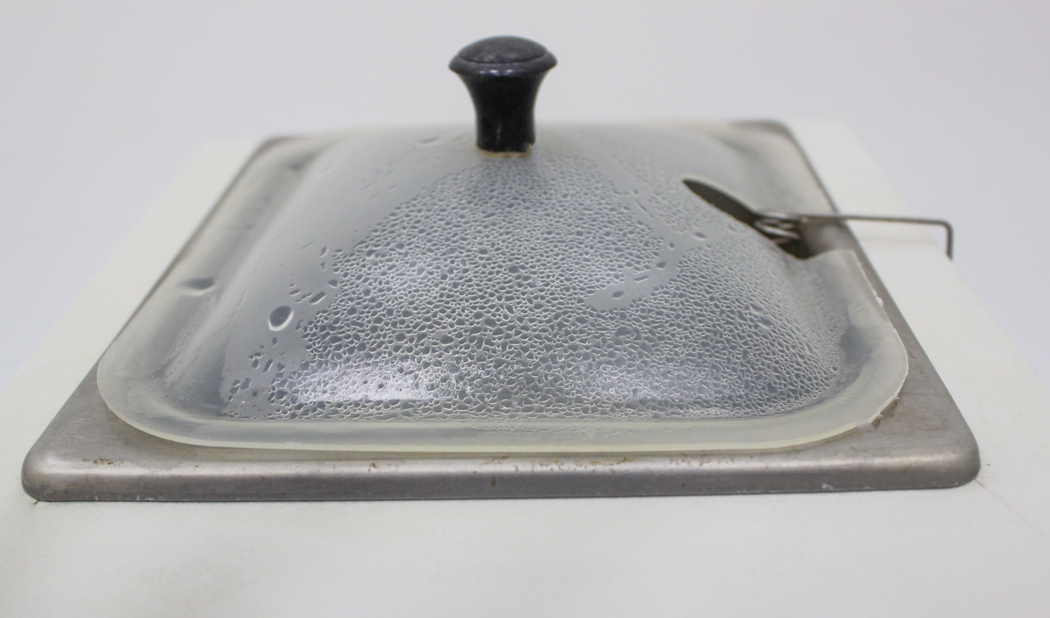 Precision 180 Series Water Bath Stainless Steel 95C 2.5L Temperature Control