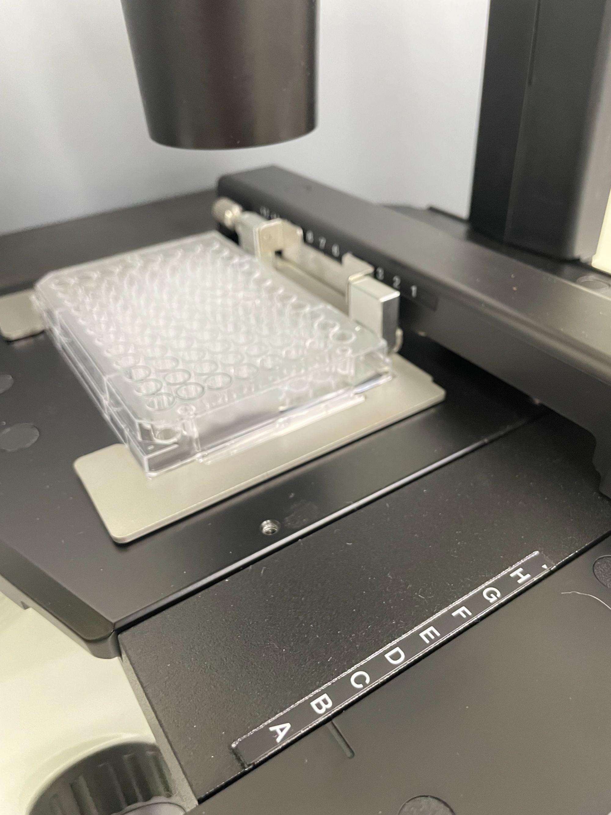 Olympus Inverted Phase Contrast Microscope CKX53