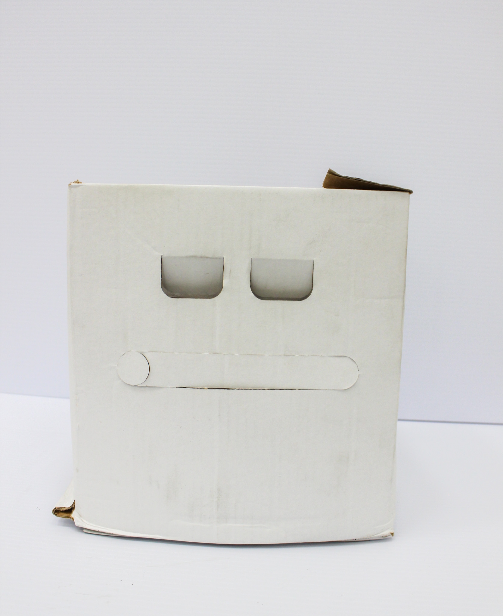 Sigma W4502-10L Sterility Water Reagent for Molecular Biology 10L