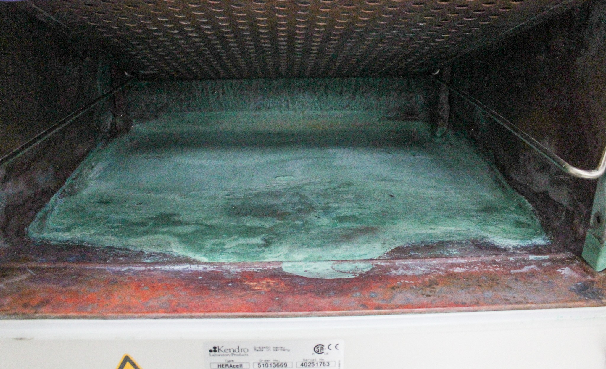 Kendro HERAcell CO2 Incubator Cell/Tissue Culture, Temp Max 55C, Used