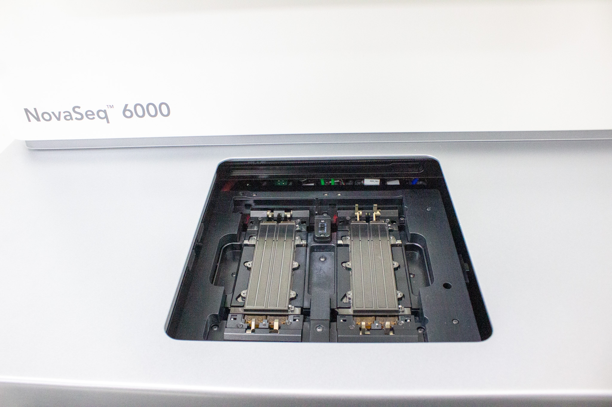 Illumina NovaSeq 6000 Sequencer DNA High Throughput Includes Computer