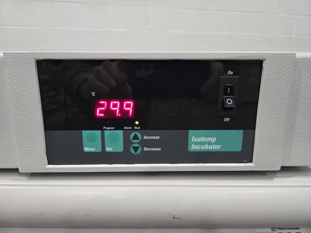 Fisher Isotemp 6845 Incubator Oven: 30-75C, 5cuft, Lab Incubation