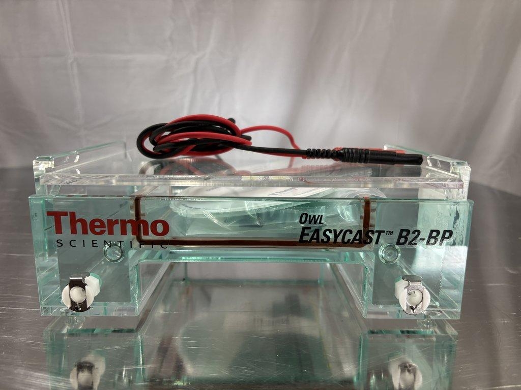 Thermo Scientific 7316 Owl Easycast B2-BP Gel Box - Laboratory Electrophoresis