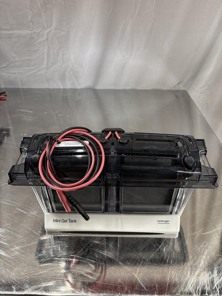 Invitrogen A25977 Mini Gel Tank Laboratory Electrophoresis Equipment