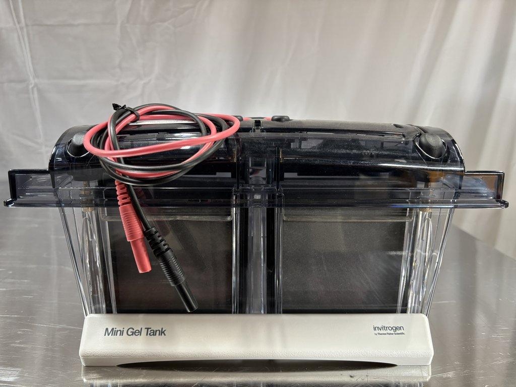 Invitrogen A25977 Mini Gel Tank Laboratory Electrophoresis Equipment
