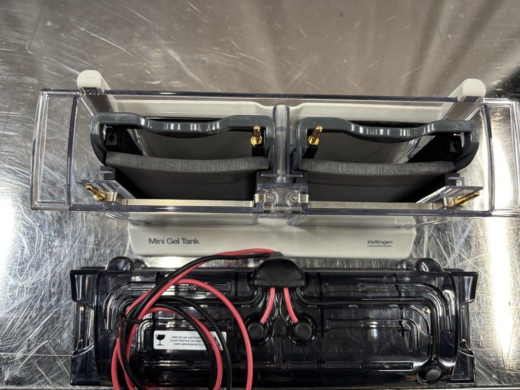 Invitrogen A25977 Mini Gel Tank Laboratory Electrophoresis Equipment