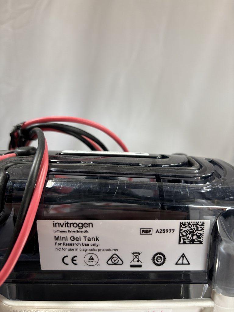 Invitrogen A25977 Mini Gel Tank Laboratory Electrophoresis Equipment