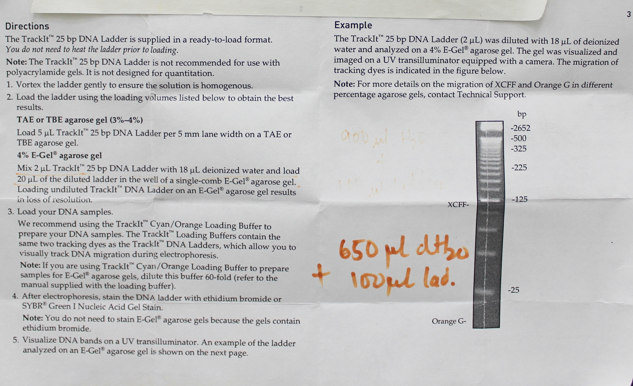 Axygen Axygen Gel Documentation System 5.4MP Camera Dual Wavelength
