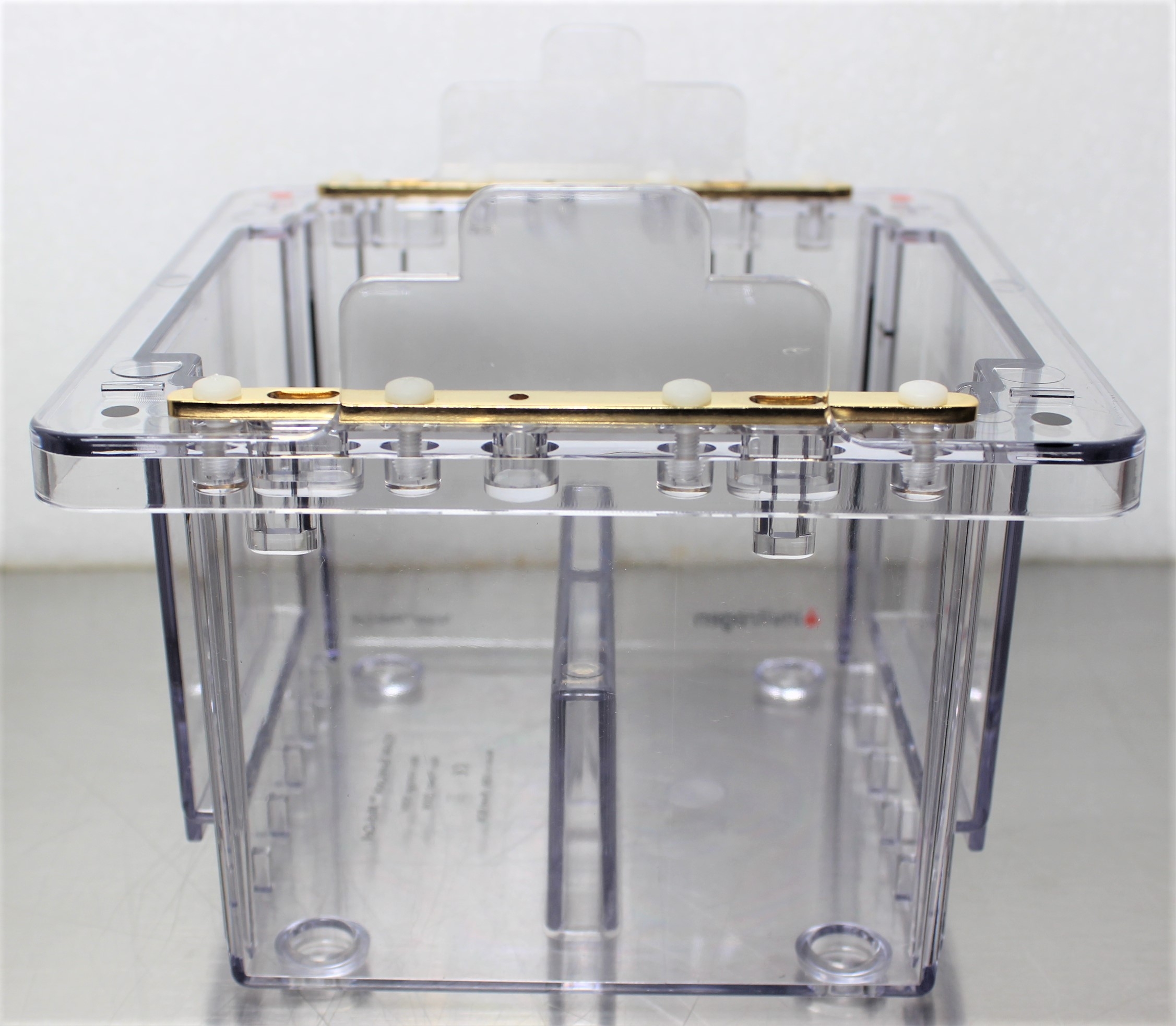 Invitrogen XCell4 SureLock Midi-Cell Electrophoresis System Durable Efficient