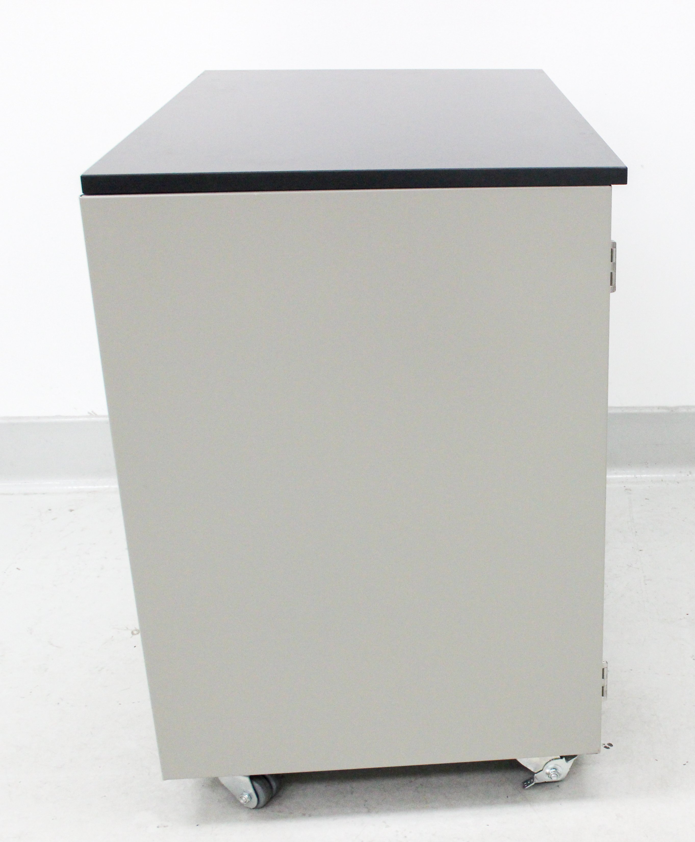 Fisher Hamilton Mobile Work-Height Storage Cabinet Double Door