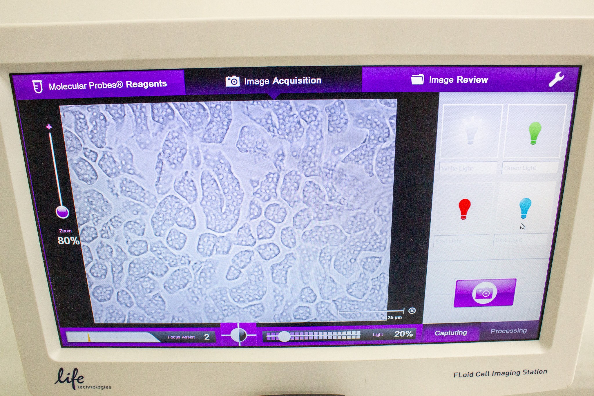 LifeTech FLoid Imager Cell Imaging Station Fluorescent Benchtop User-Friendly