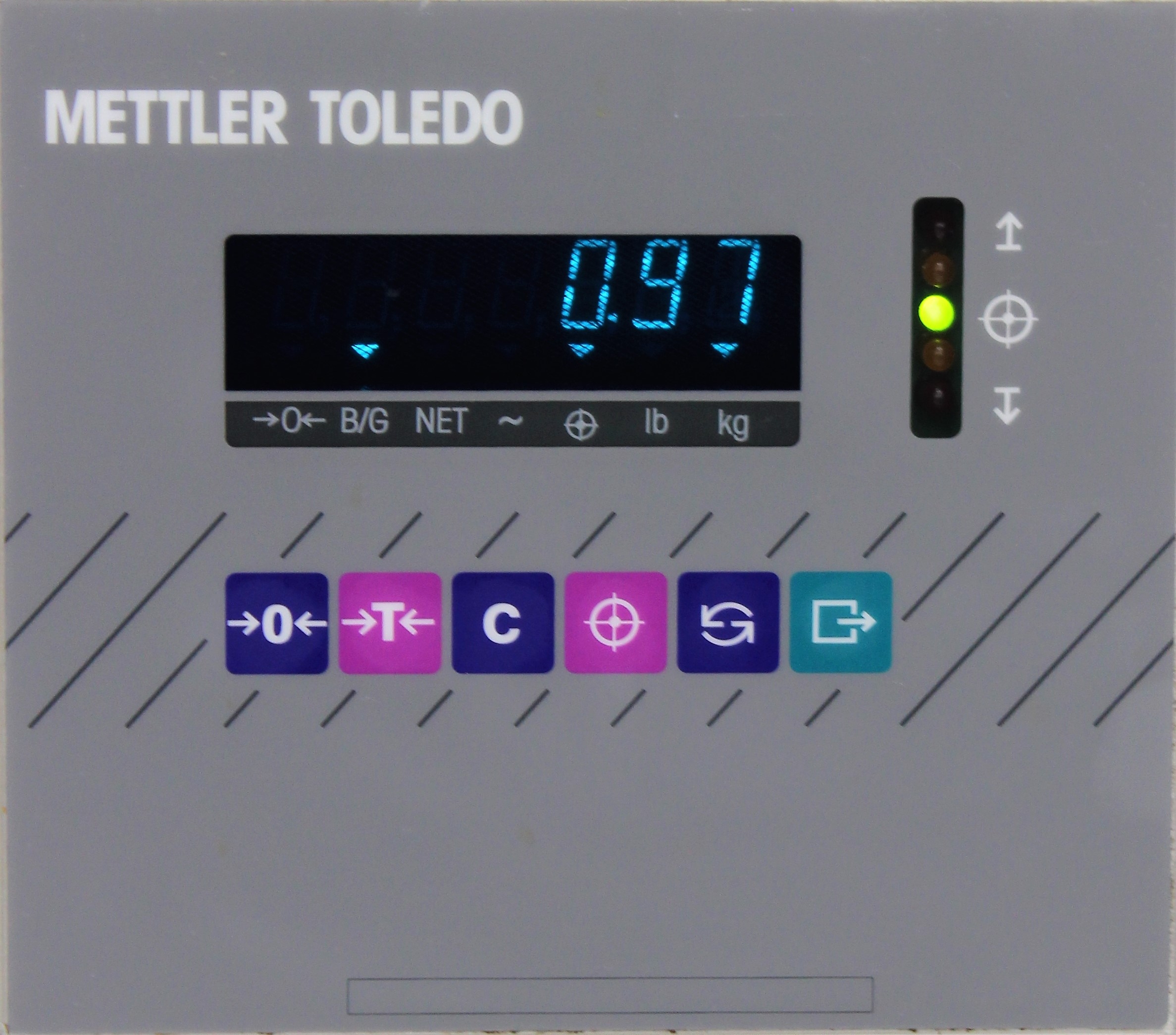 Mettler Toledo SW Speed Weigh Scale 150kg/300lb Capacity 50Hz/60Hz 120V/220V