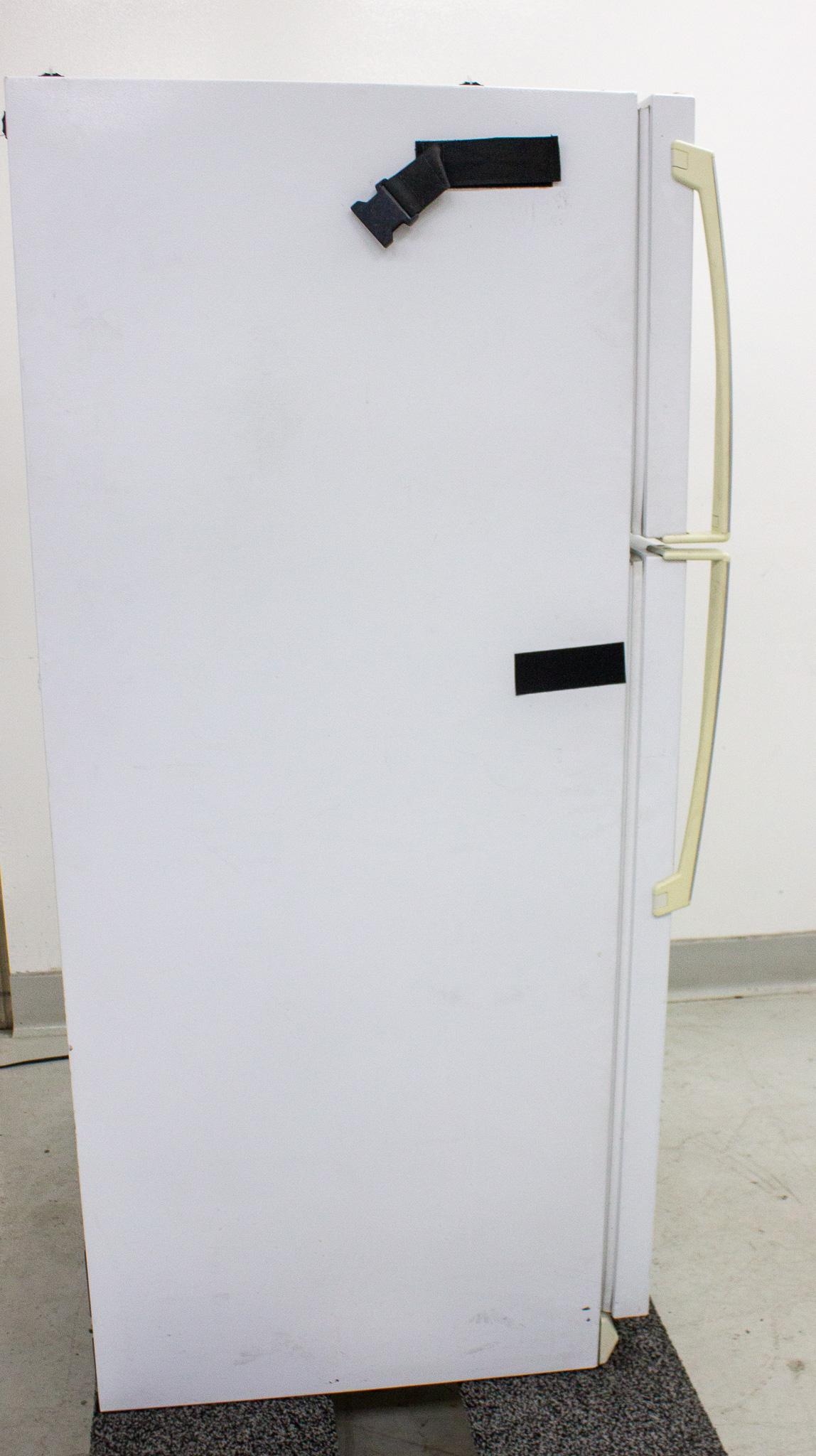 Amana TH21TW Freezer Refrigerator Dual-Zone 19.1 Cu.Ft. 120V 60Hz USA