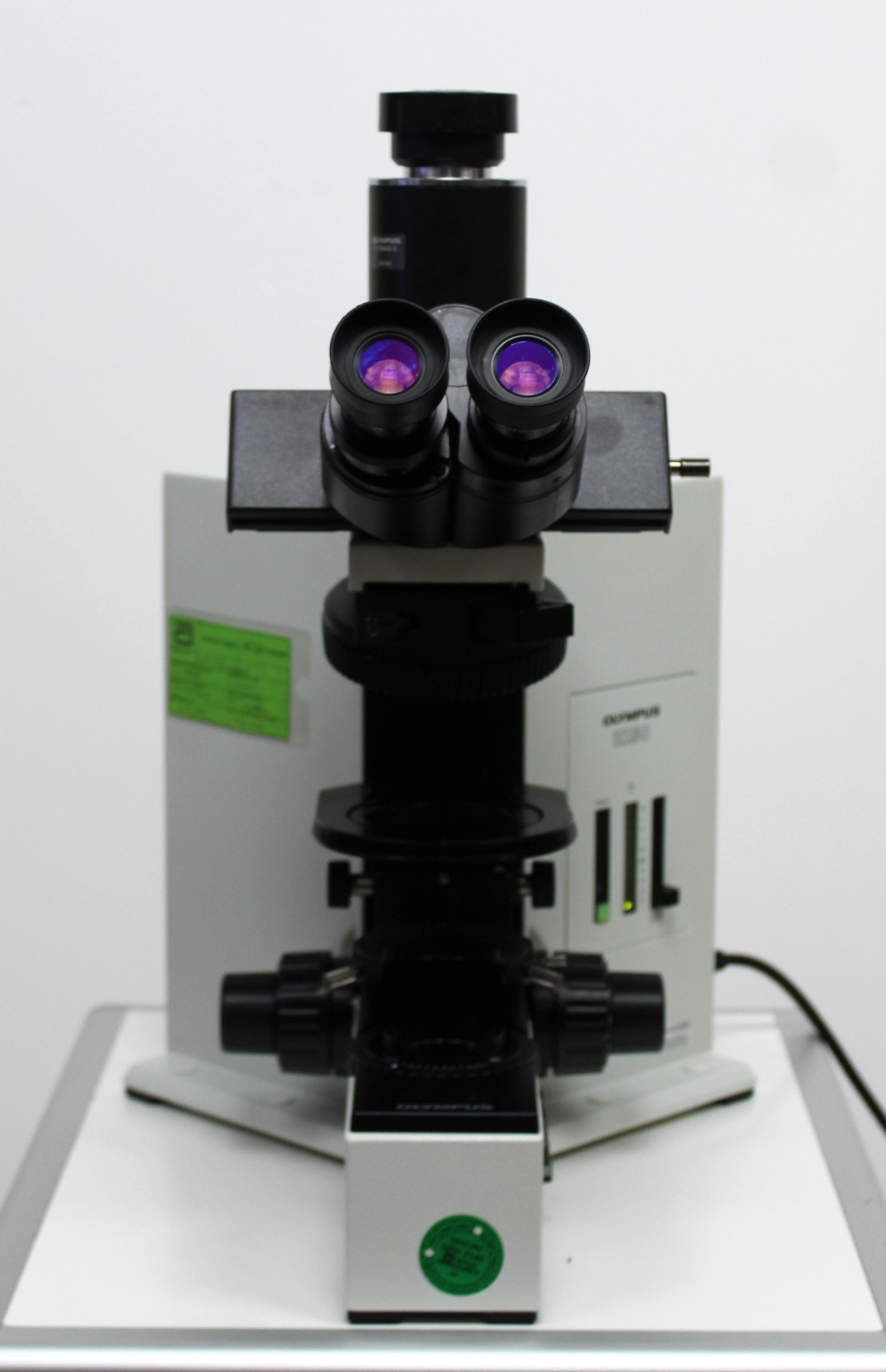 Olympus BX50F4 Microscope Robust Optical Performance Halogen Light