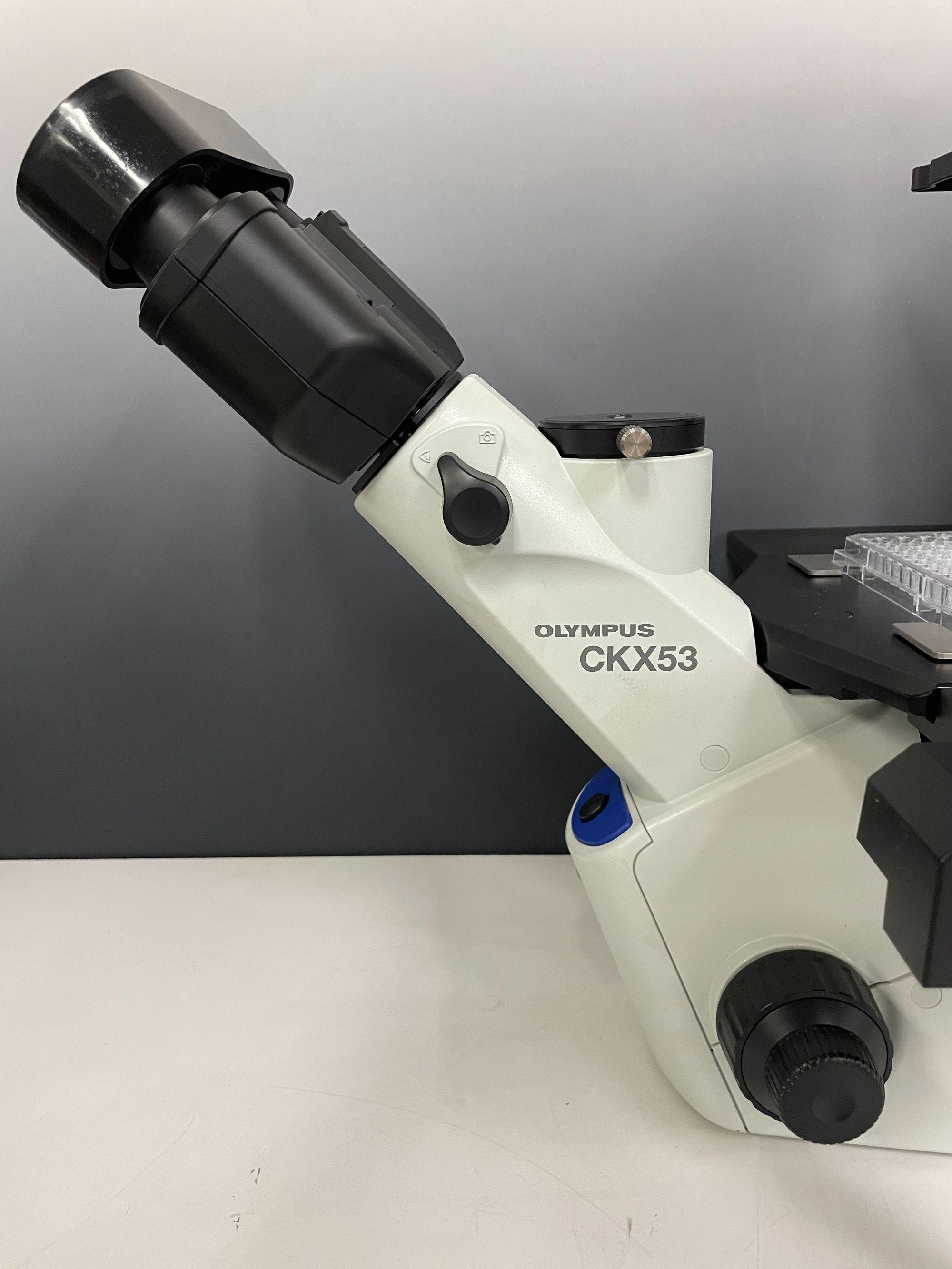 Olympus Inverted Phase Contrast Microscope CKX53