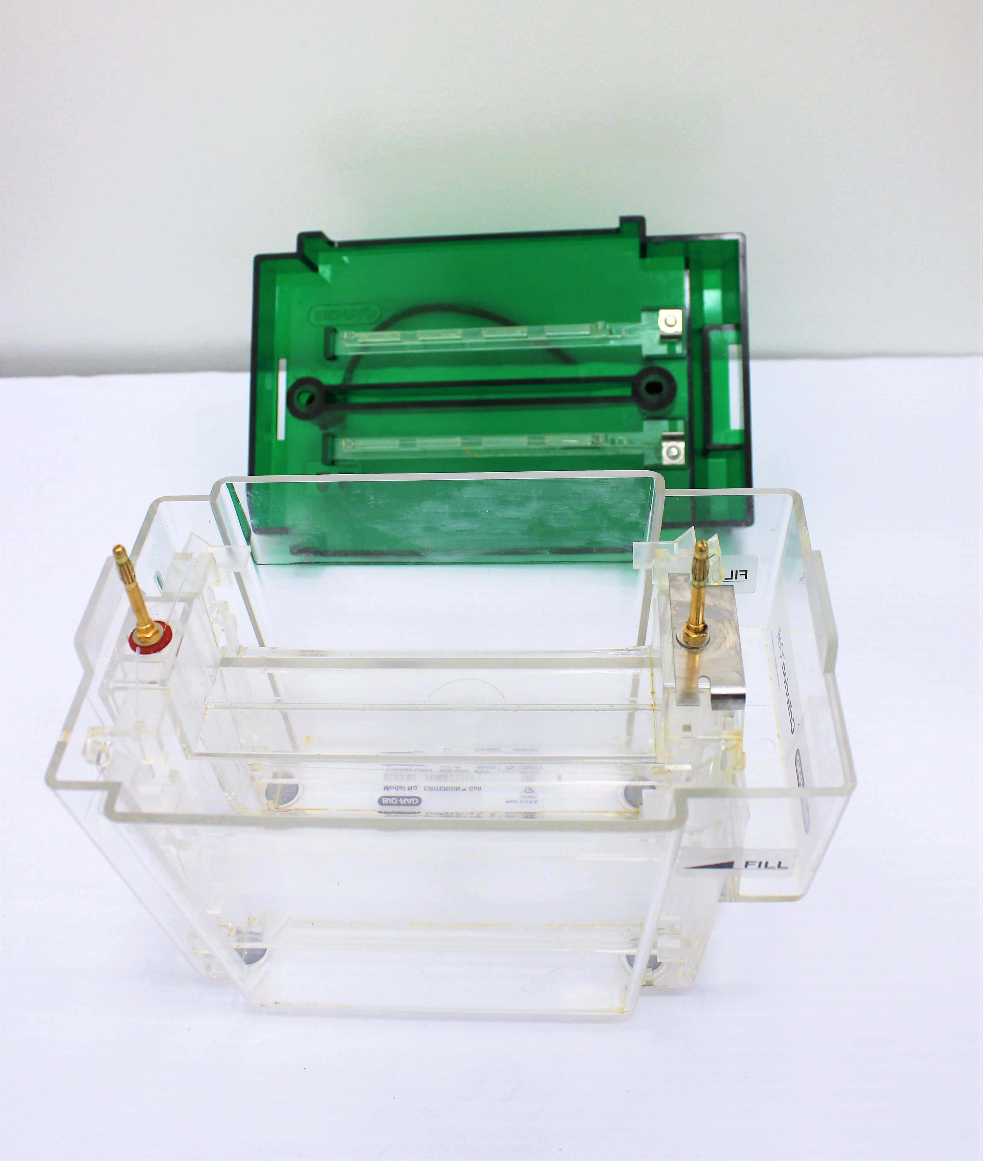 Bio Rad Criterion Cell Electrophoresis System Fast Assembly 26 Sample Capacity