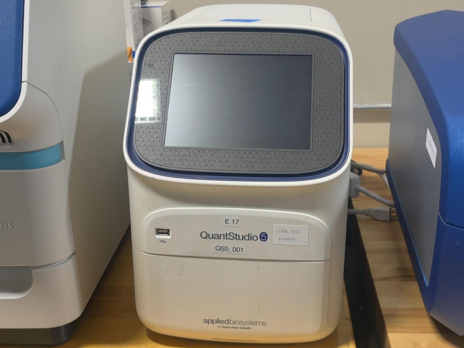 QuantStudio 5 Real-Time PCR System. 115V.