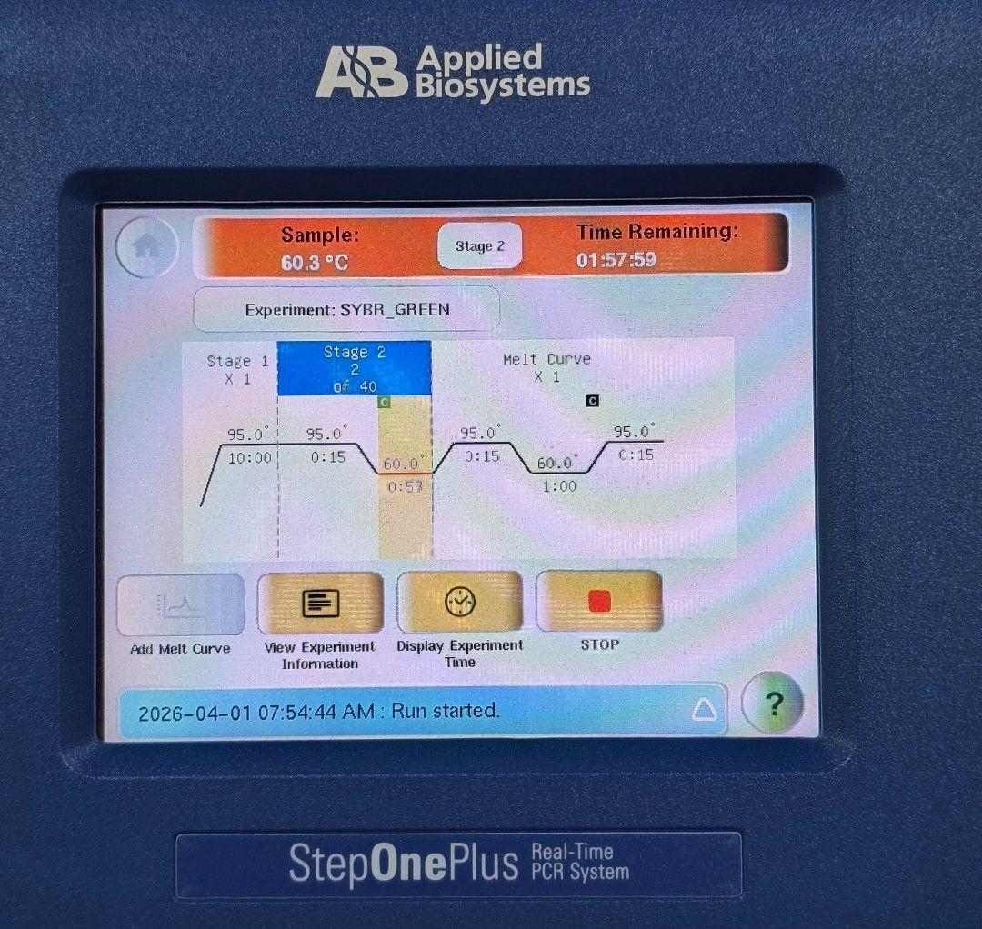 Applied Biosystems Step One Plus Real Time PCR System