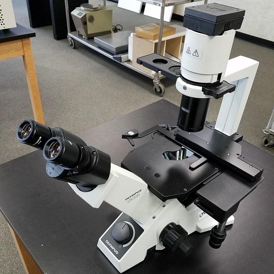 Olympus CKX41 Inverted Microscope 50W Mercury Illumination