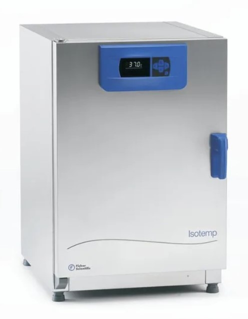 Fisherbrand Isotemp Microbiological Incubator 180L Stainless Steel 151030515