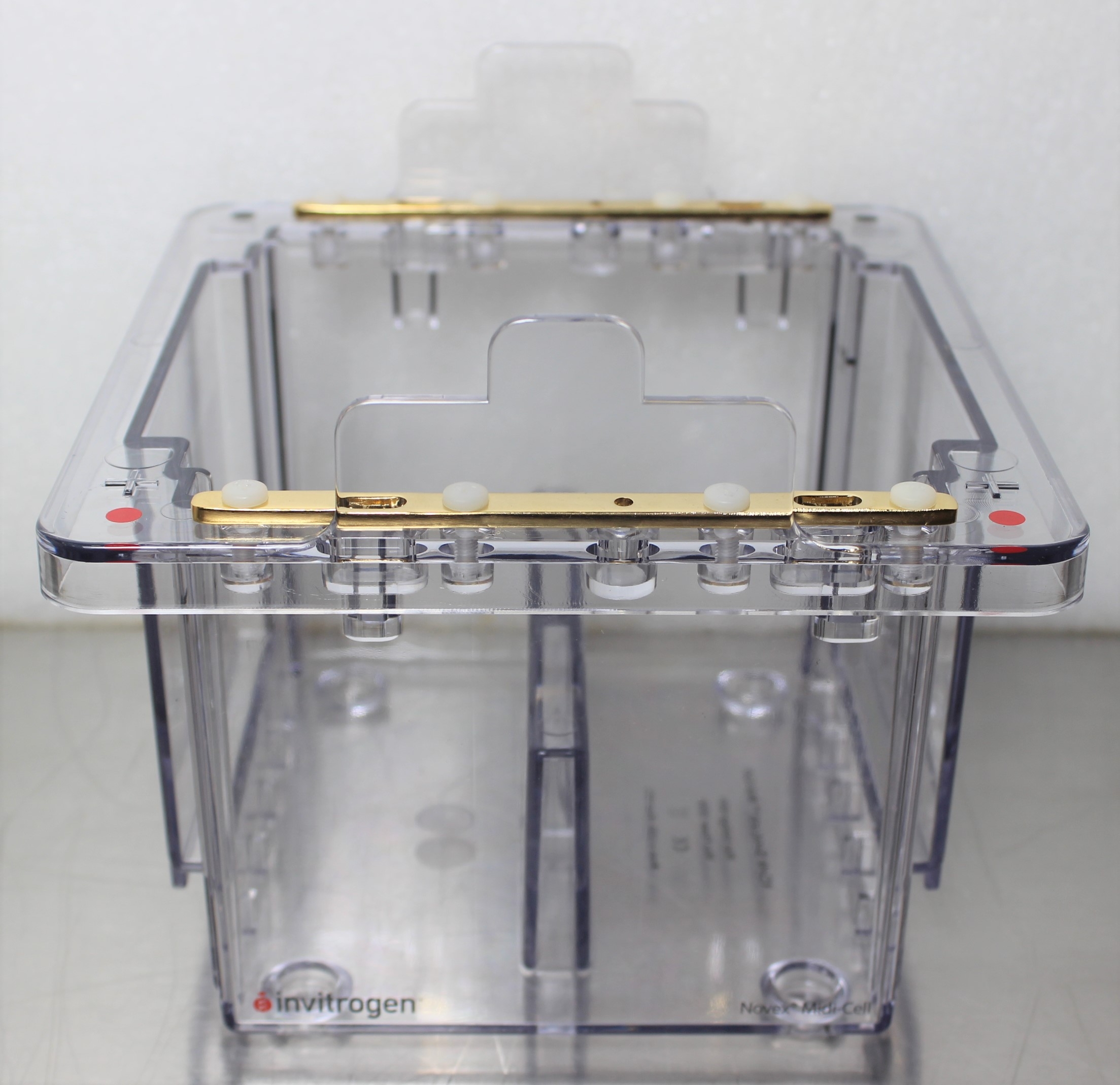 Invitrogen XCell4 SureLock Midi-Cell Electrophoresis System Durable Efficient