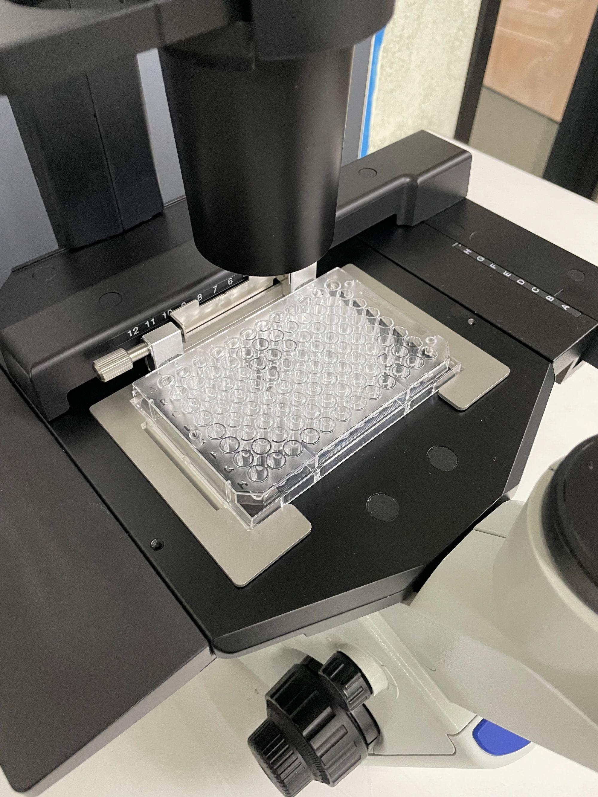 Olympus Inverted Phase Contrast Microscope CKX53