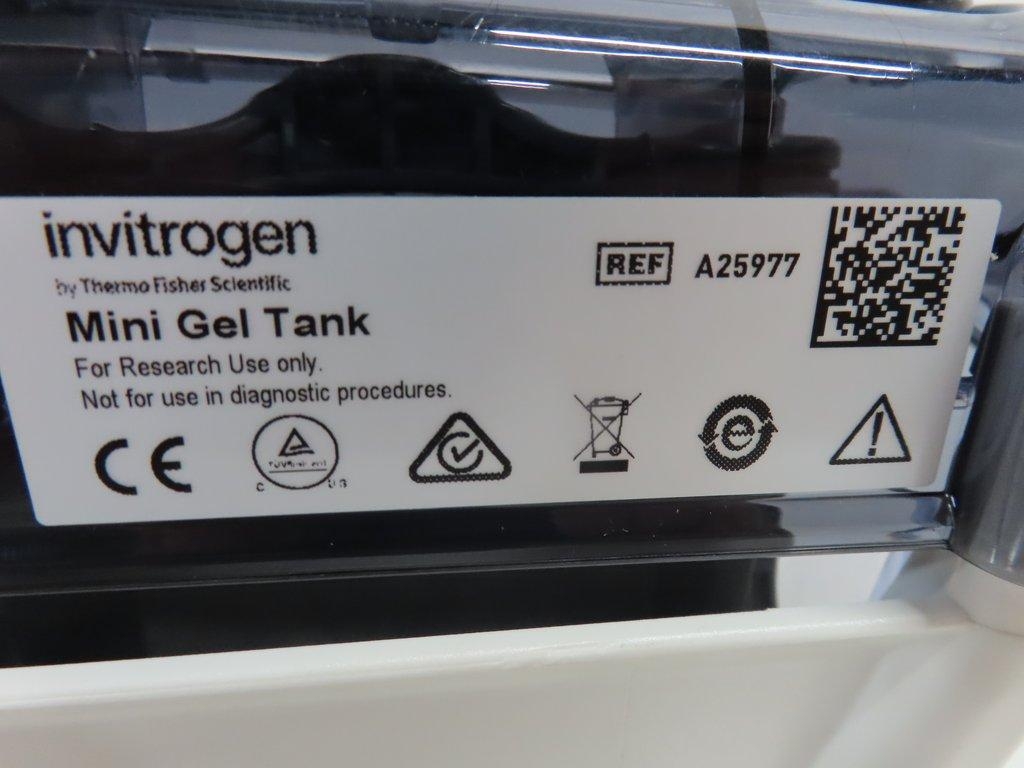 Thermo/Invitrogen A25977 Mini Gel Tank Laboratory Separation Unit