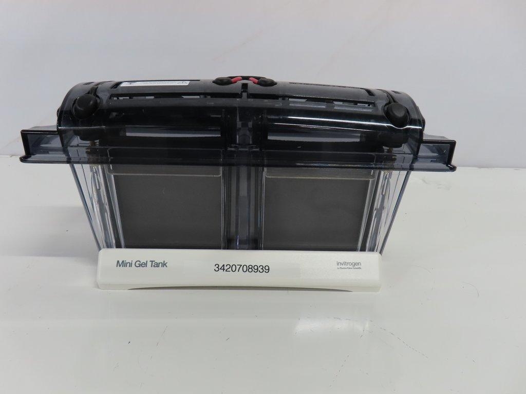 Thermo/Invitrogen A25977 Mini Gel Tank Laboratory Separation Unit