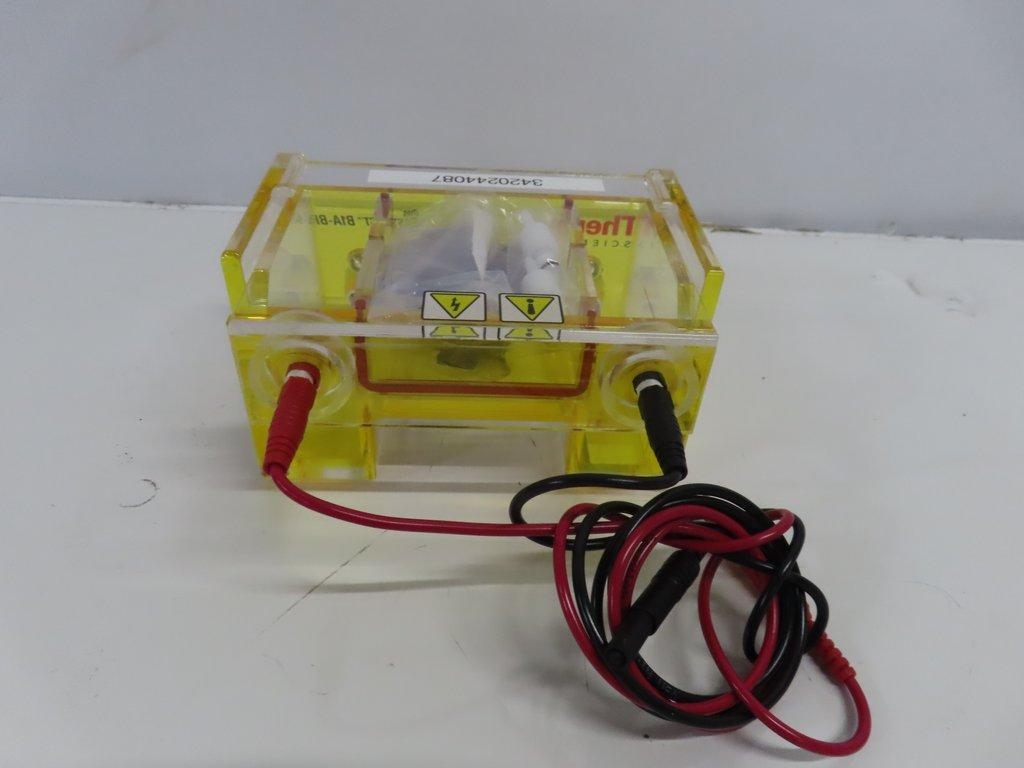 Thermo Owl Easycast B1A-BP Laboratory Electrophoresis Gel System Near New