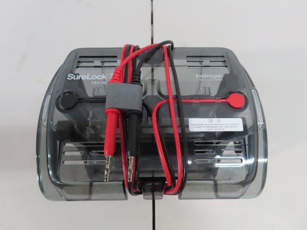 Invitrogen STM1001 Gel Electrophoresis Tank Midi Size Near New Condition