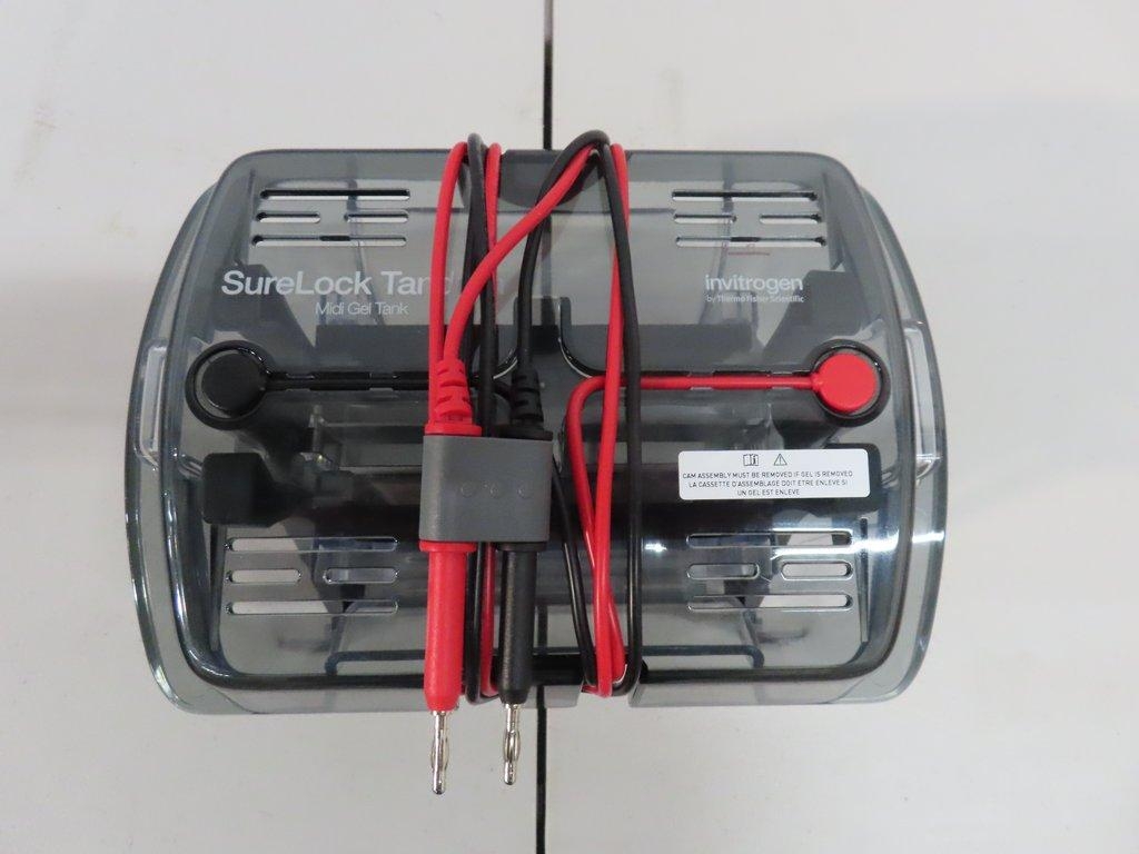 Invitrogen STM1001 Gel Electrophoresis Tank Midi Tandem Midi Gel Processing