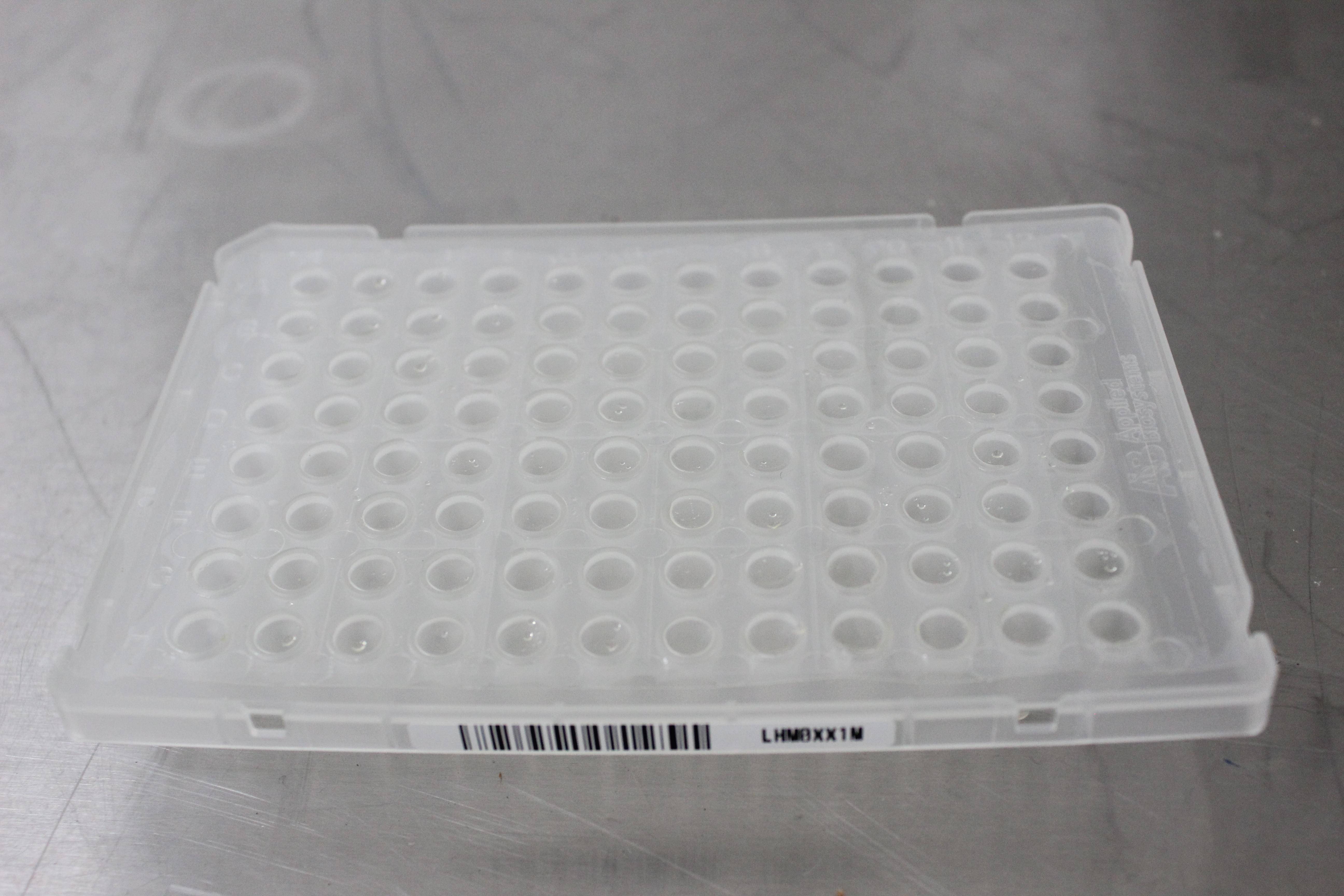 ABI 7500 PCR Thermal Cycler Real-Time Nucleic Acid Detection System 2005