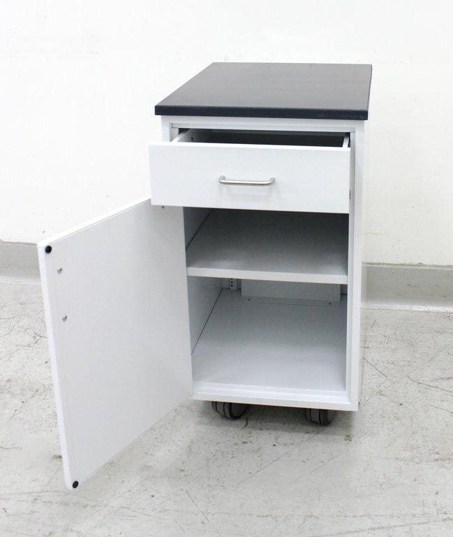 Kewaunee Scientific Corporation Storage Cabinet with Casters, Turnkey