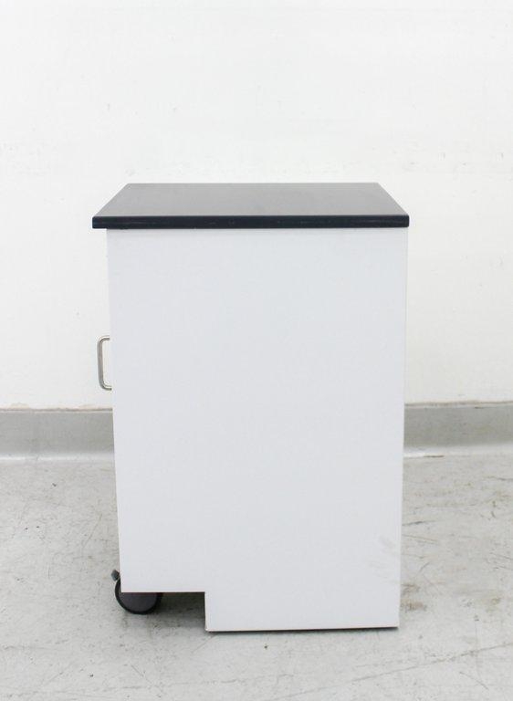 Kewaunee Scientific Corporation Storage Cabinet with Casters, Turnkey