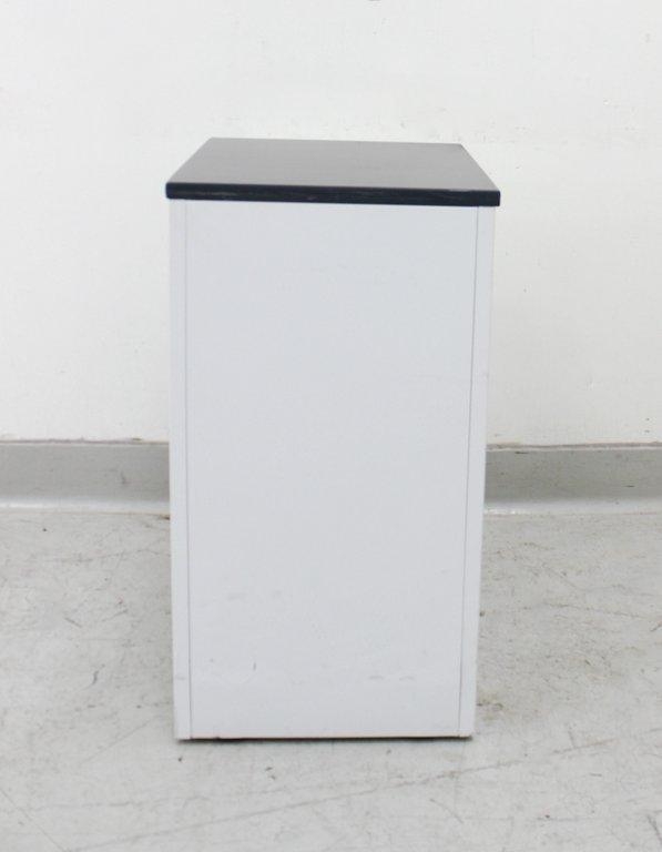 Kewaunee Scientific Corporation Storage Cabinet with Casters, Turnkey