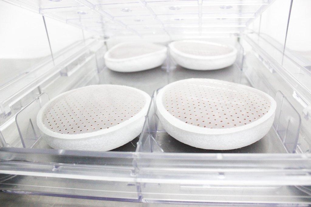 Bel-Art Products Desiccator Cabinet, Portable, UV Blocking, Hygrometer