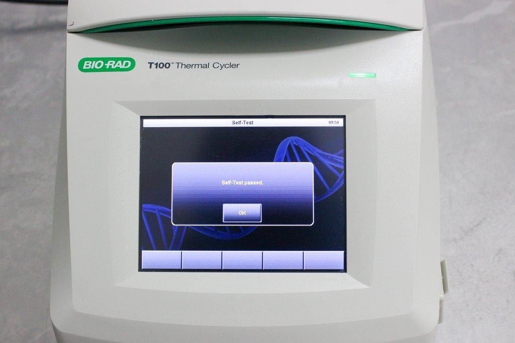 BioRad T100 Thermal Cycler PCR Optimization Nucleic Acid Amplification