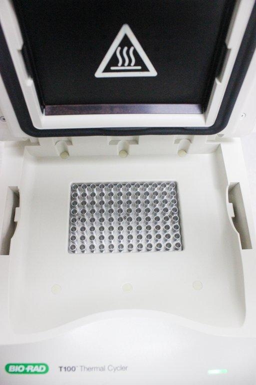 BioRad T100 Thermal Cycler PCR Optimization Nucleic Acid Amplification