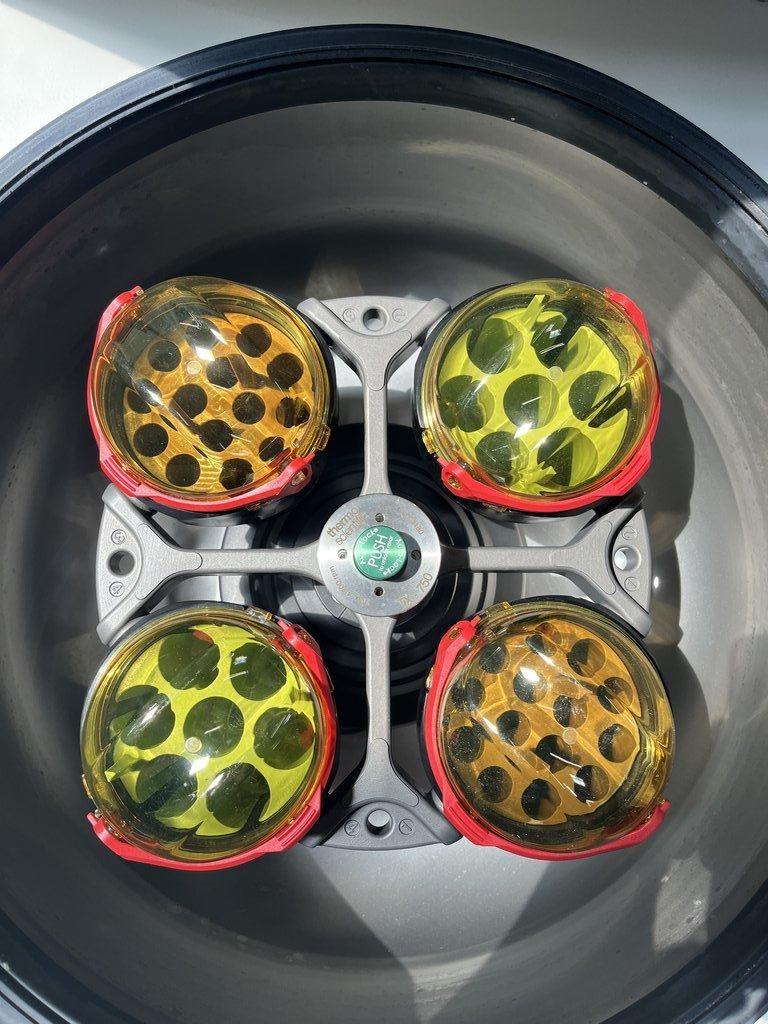 Thermo Sorvall Legend XFR Floor Centrifuge 75004539 - Near New Condition