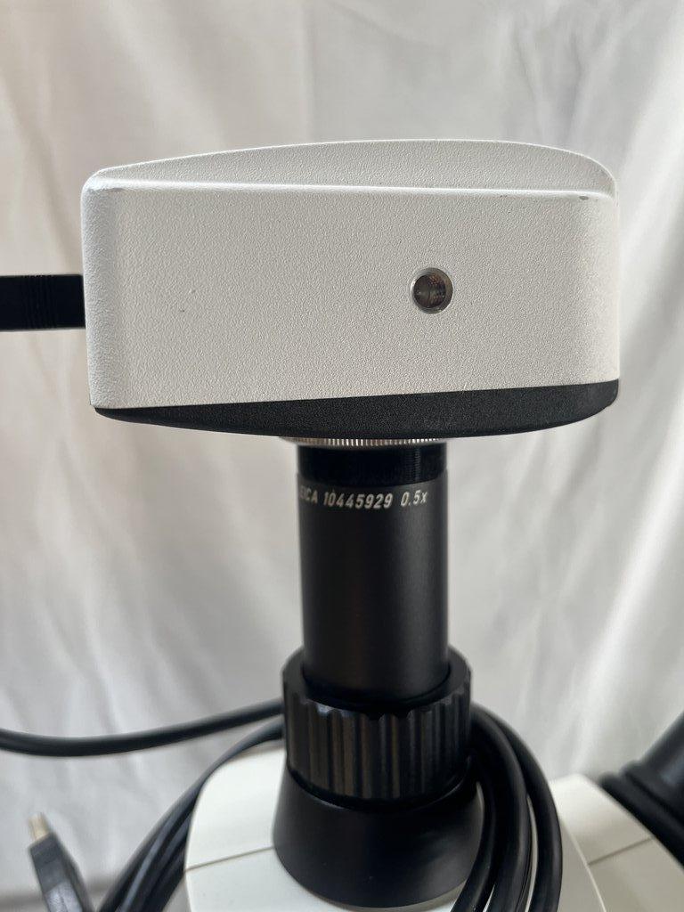 LEICA S8AP0 Microscope Binocular Good Condition Powers On