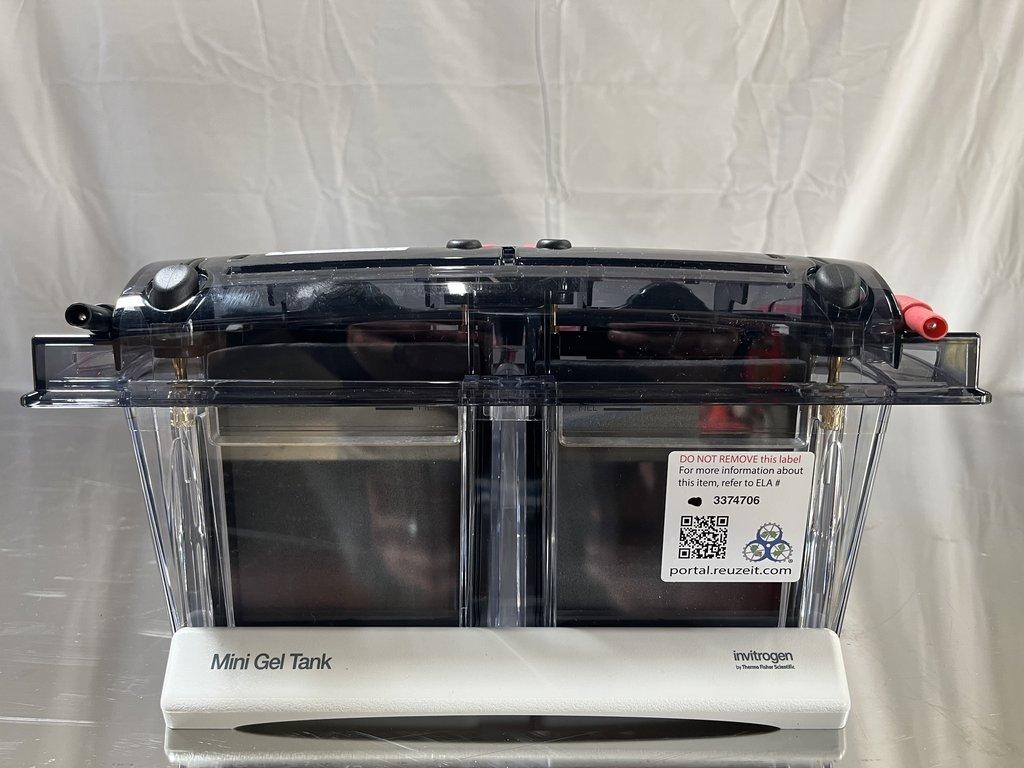 Invitrogen A25977 Mini Gel Tank for Laboratory Electrophoresis
