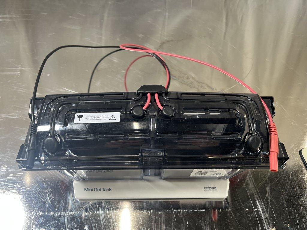 Invitrogen A25977 Mini Gel Tank for Laboratory Electrophoresis
