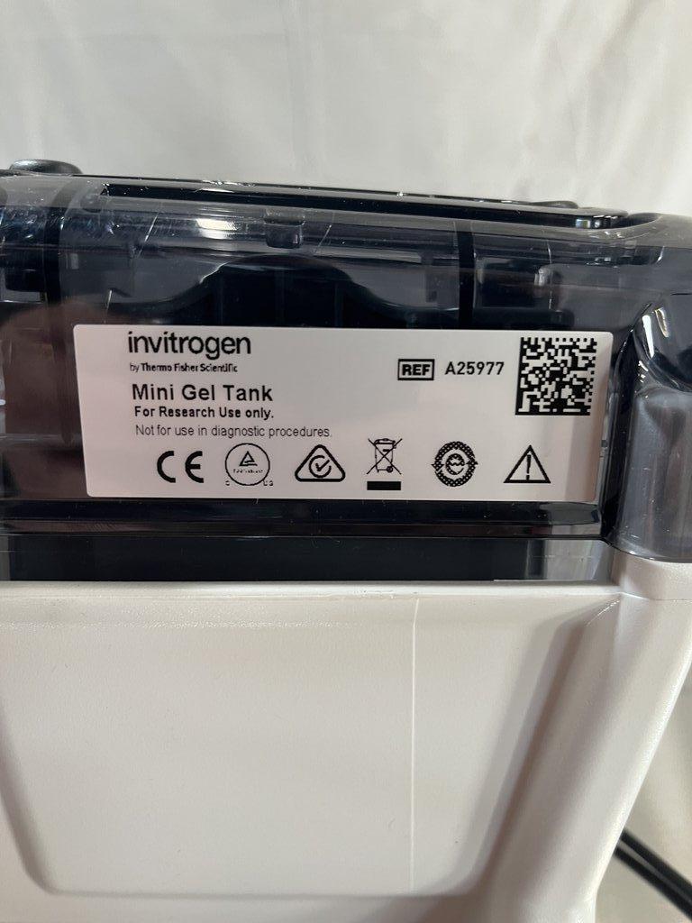 Invitrogen A25977 Mini Gel Tank for Laboratory Electrophoresis