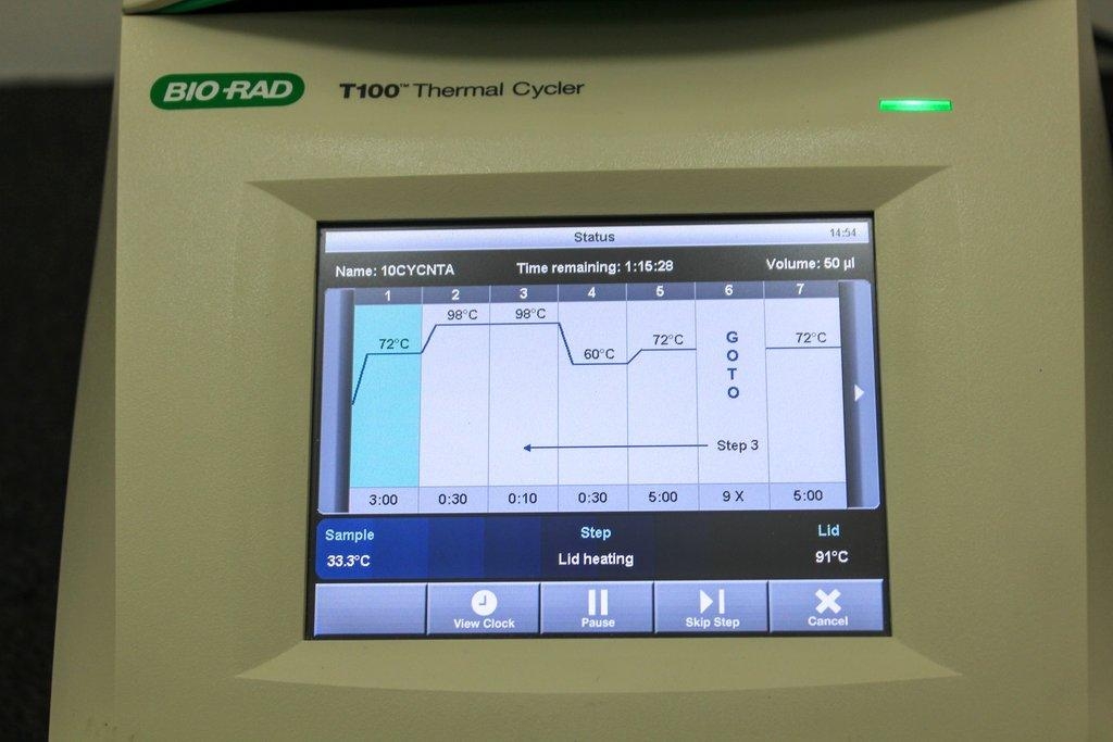 BIO-RAD T100 Thermal Cycler Molecular Biology PCR Thermal Cycler Efficient
