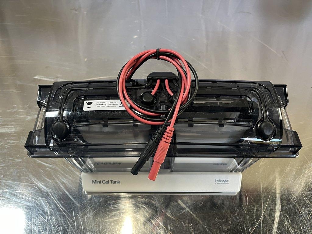 Invitrogen A25977 Mini Gel Tank - Excellent Condition, Lab Equipment