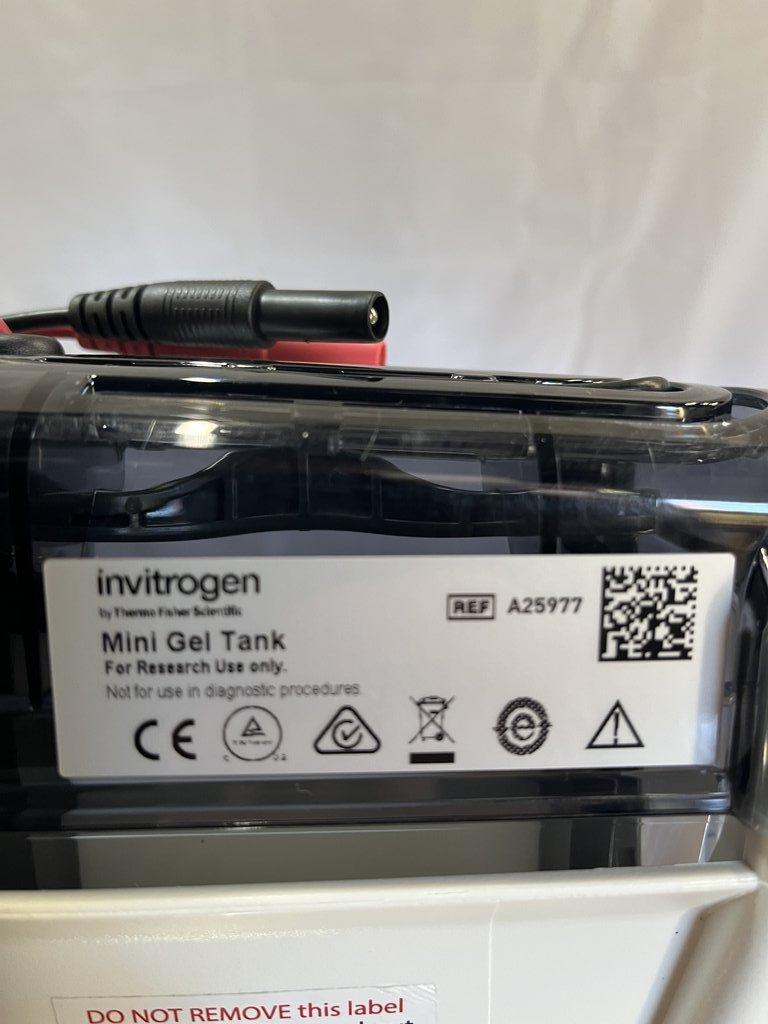 Invitrogen A25977 Mini Gel Tank - Excellent Condition, Lab Equipment