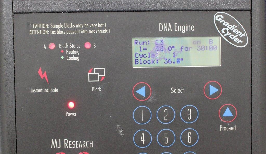 BIO-RAD PTC-200 DNA Thermal Cycler 48-Well Reliable Peltier Dual Block