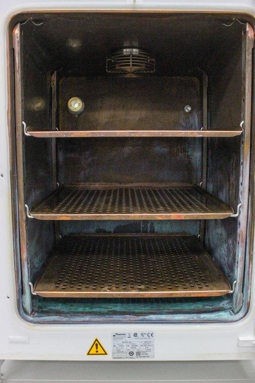 Thermo HERAcell 150i CO2 Incubator 150L for Cell Growth Fair Condition